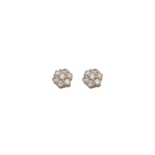 Load image into Gallery viewer, Cluster Earrings
